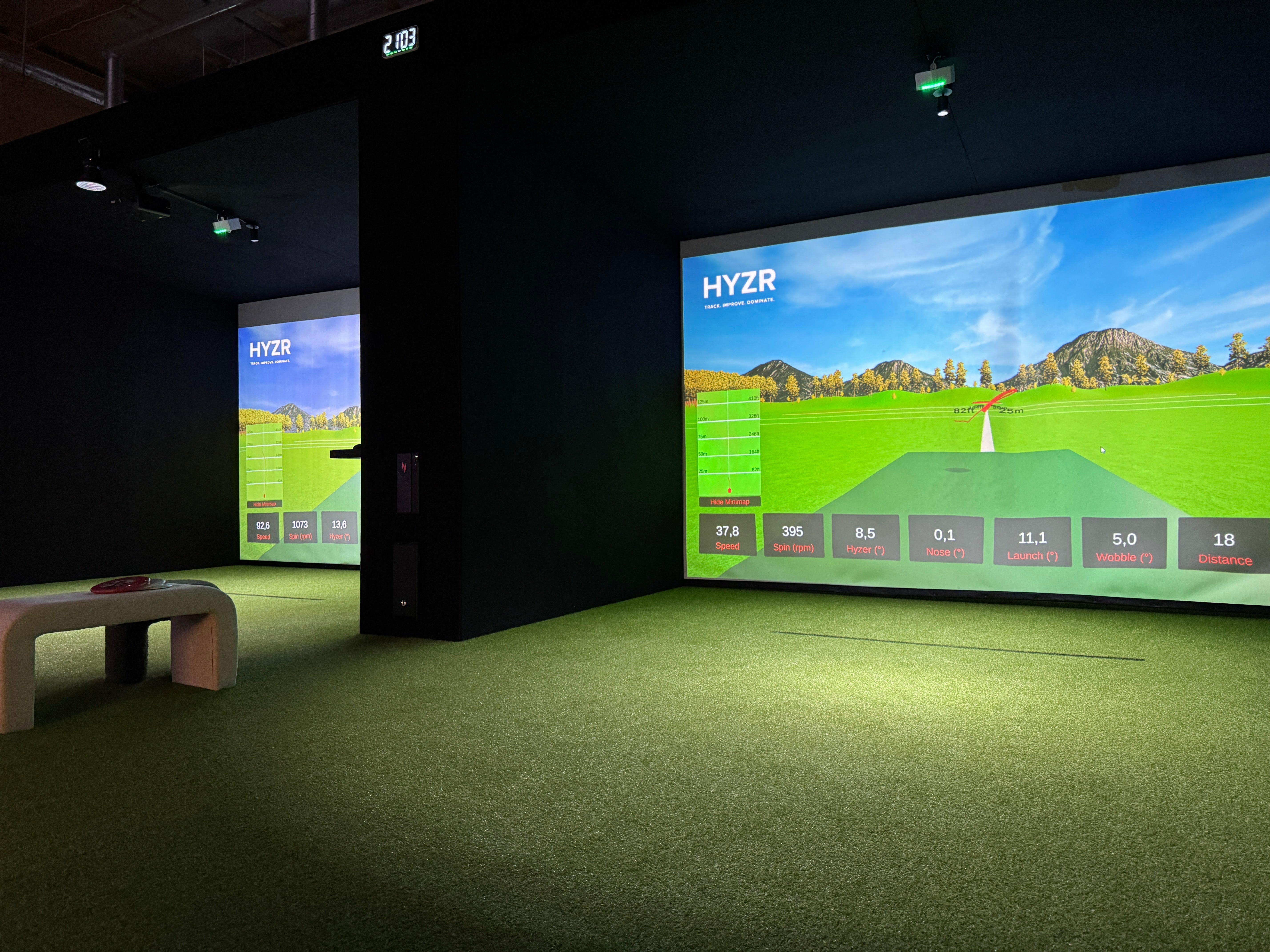 Starting a Disc Golf Simulator Business: Cost, Opportunity, and Real-World Examples